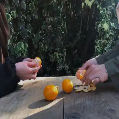 دانلود آهنگ  صادق بوقی او او